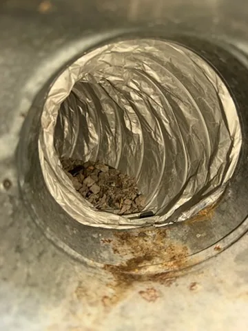 Debris pulled from a foil flex duct boot, Bellport, NY